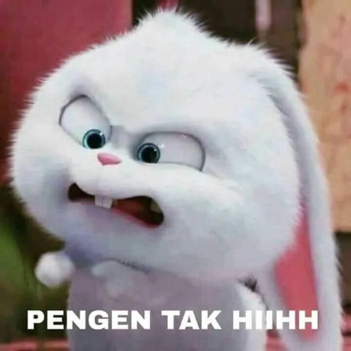 Gợi ý 38+ ảnh meme tức giận cute hài hước khiến bạn bật cười
