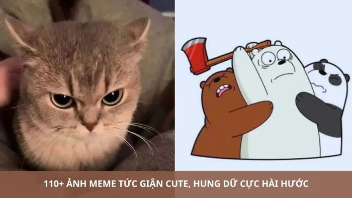 110+ Ảnh meme tức giận cute, hung dữ cực hài hước