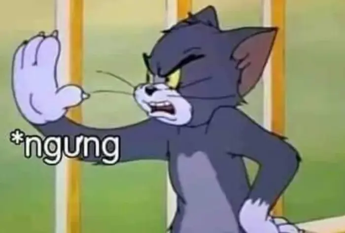 Full 80+ meme tức giận cute, dễ thương, hung dữ chế cực vui