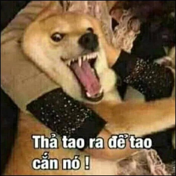 Meme Tức Giận Cute [95+ Ảnh Chế Meme Cáu Giận, Nóng Giận]