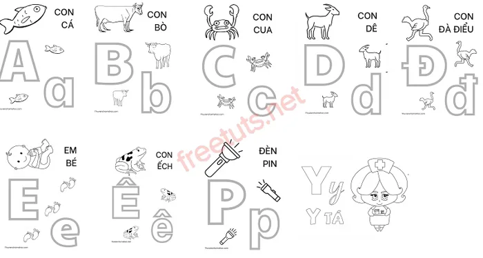 Bảng chữ cái tiếng Việt, phân loại và cách đọc chuẩn nhất