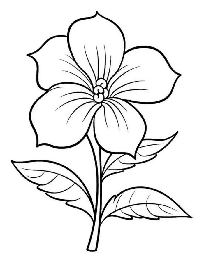 tranh-to-mau-bong-hoa-1