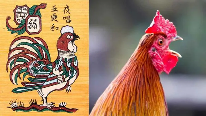 Tranh Đông Hồ: Nguồn gốc, Ý nghĩa & Quy trình làm tranh chi tiết