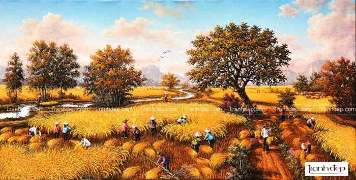 Tranh Đồng Quê - Tranh Phong Cảnh Cánh Đồng Lúa Đẹp Nhất