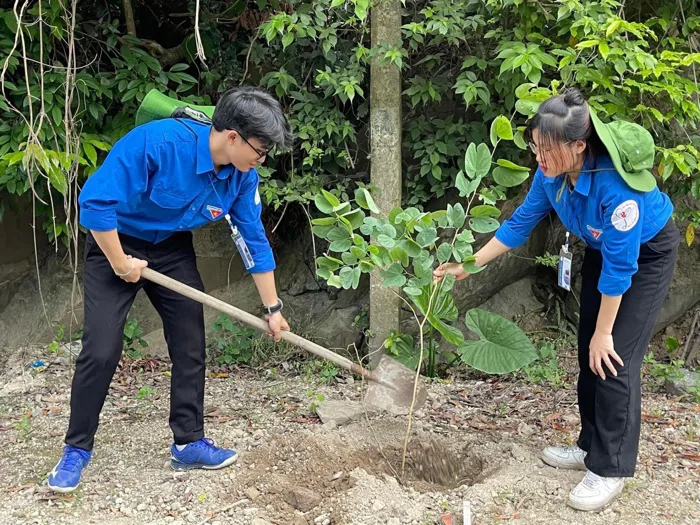 CÔNG TRÌNH THANH NIÊN: “TRỒNG CÂY XANH VÀ VẼ TRANH TƯỜNG CỔ ĐỘNG”